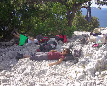 CAFistes en plein action... CAFistes en plein action…