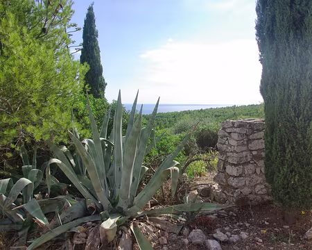 Introduits subrepticement dans l’AJ de la Fontasse Introduits subrepticement dans l’AJ de la Fontasse