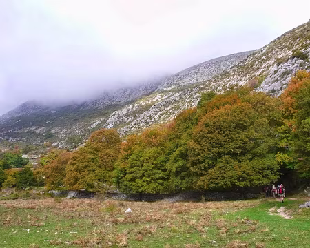 PXL002 Au pied de la Montagne du Cheiron.