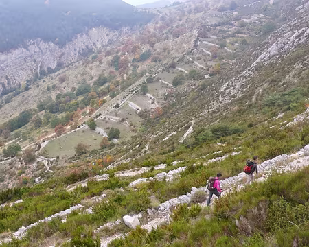 PXL003 Dans les pentes sud de la Montagne du Cheiron.