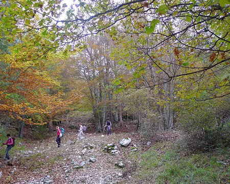 PXL005 Le sous-groupe des filles.