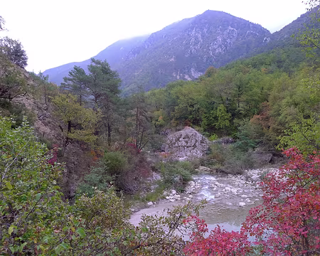 PXL014 L'Esteron et ses rives boisées.