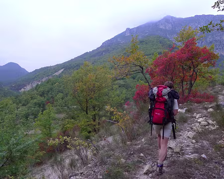 PXL016 Arbre en feu (ter).