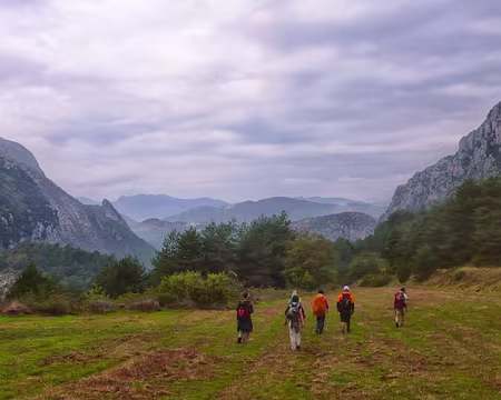 PXL021 A travers champs.