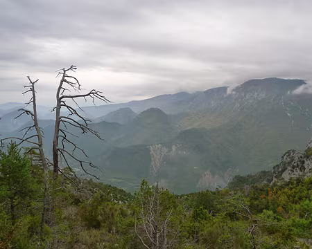 PXL026 Autre vue sur la vallée de l'Esteron.