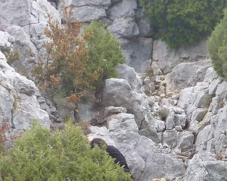 PXL033 Redescente. Certains font les acrobates...