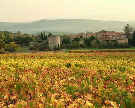 PXL006 Vitrolles en Luberon, montagne de l'Ubac et au fond, la montagne Ste Victoire.