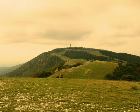 PXL021 Moure nègre, culminant du Luberon.