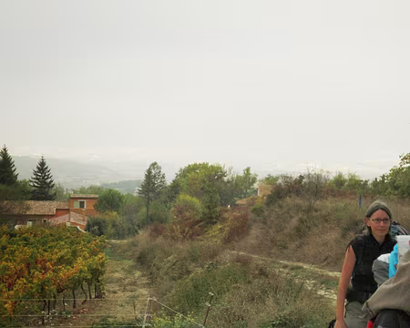 PXL050 Dimanche 3 novembre.