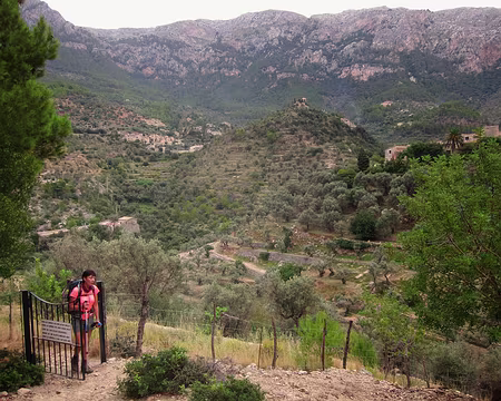 PXL097 Deia et ses terrasses