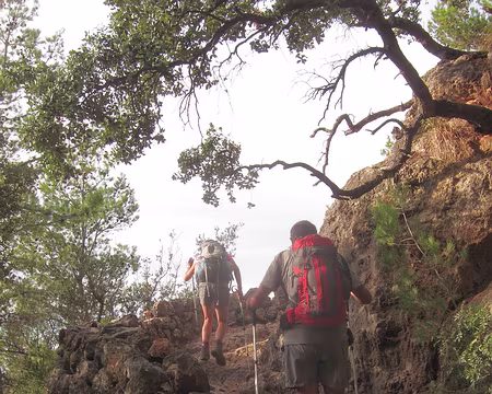 PXL114 Nous avons rejoint le GR des Pierres Sèches