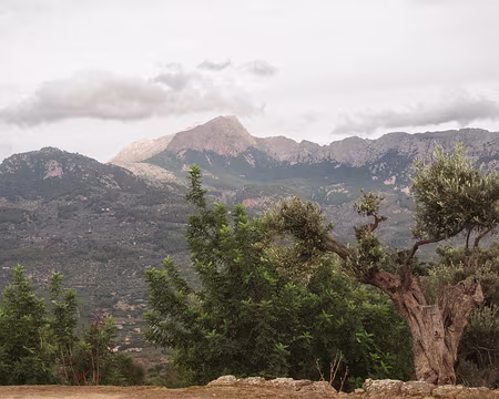 PXL115 Vue sur les sommets au-dessus de Soller dans le creux en bas