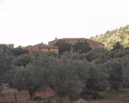 PXL123 Finca entre le Mirador et Cala Tuent