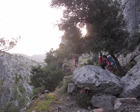 PXL182 Belle portion du GR 222