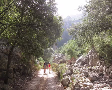 PXL192 Descente optionnelle le long du torrent (à sec) de Massanella