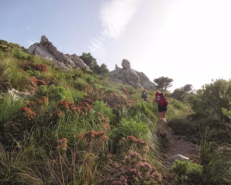 PXL202 Ascension optionnelle du pic de Tossals Verds