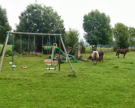 PXL005 Poney
