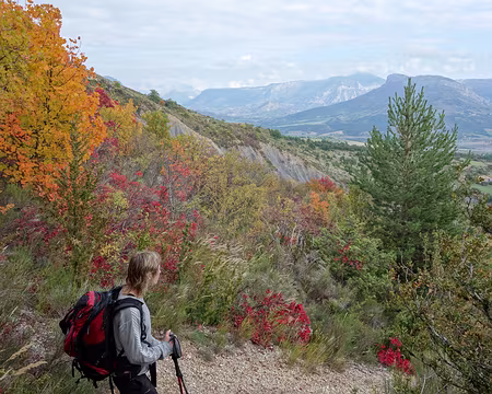 DSC00995 superbes couleurs automnales
