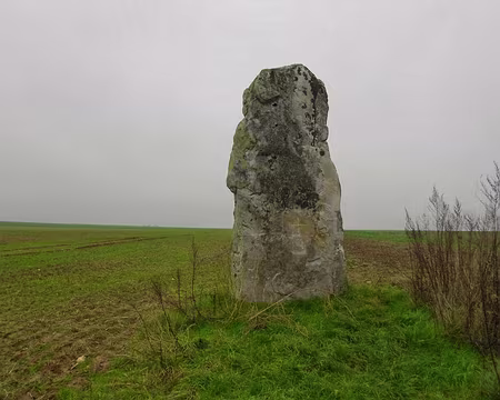 PXL004 Menhir de la Pierre Droite, près de Maisse.