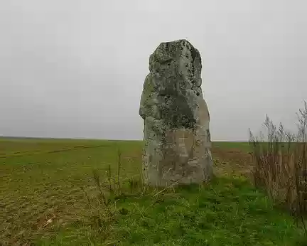 PXL004 Menhir de la Pierre Droite, près de Maisse.