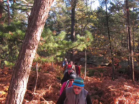 2013-11 Fontainebleau