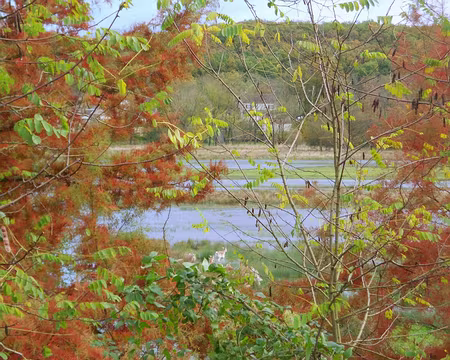 PXL006 Parc aux daims, Souppes