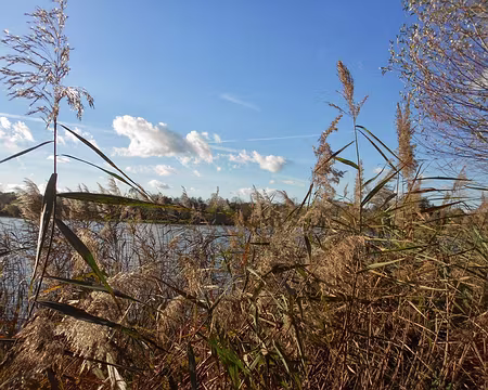 PXL021 L'étang des Varennes