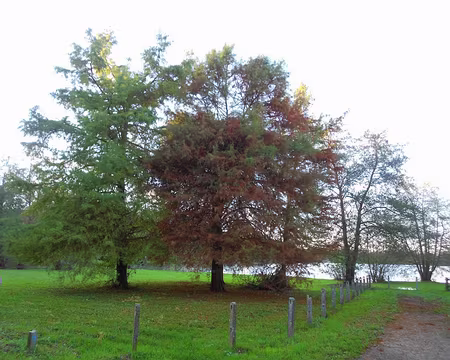 PXL026 Base de Loisirs