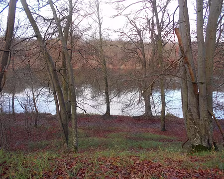 PXL001 Etangs de Commelles créés au XIIIè s. dans la vallée de la Thève