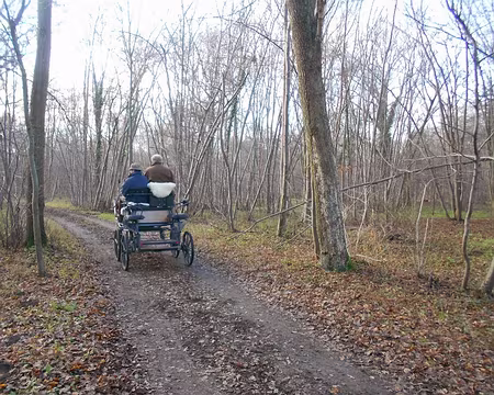 PXL003 Promenade en calèche à Chantilly