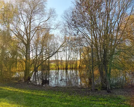 PXL018 Mare sur le plateau de Saclay