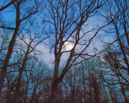 PXL004 A la tombée de la nuit