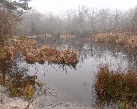 PXL006 La Mare, près de Boissy-le-Cutté