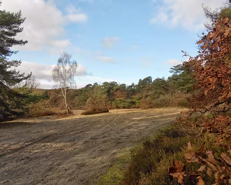 PXL009 Auvers-St-Georges