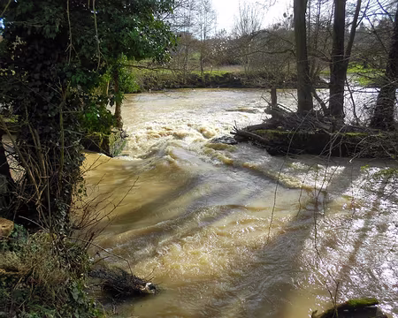 PXL003 Le Grand Morin aux eaux chargées de terre.