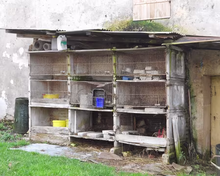 PXL014 anciens clapiers