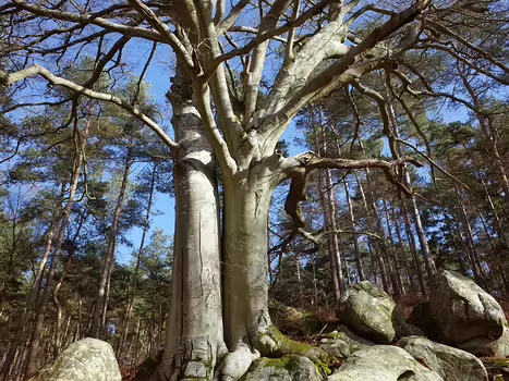 2014-02 Vaux de Cernay