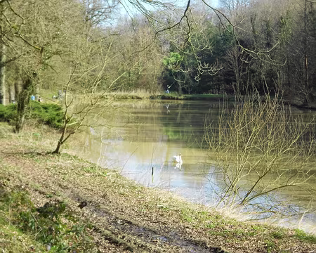 PXL001 Les étangs des Chitries, Corbreuse