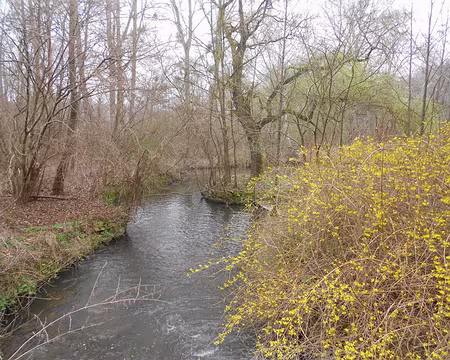 PXL000 L'Essonne près de Boigneville