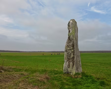 PXL004 Pierre levée près de Maisse