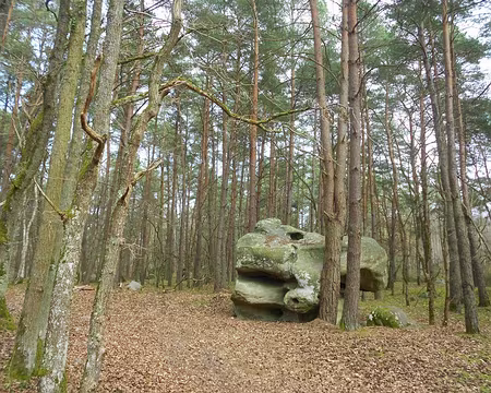 PXL007 Bois de Malabri