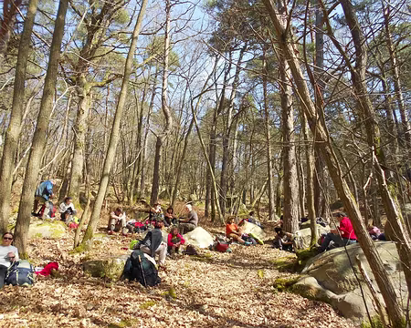 PXL007 Le Bois de Baville