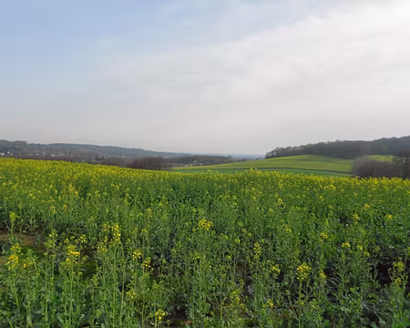 PXL019 Vallée Godefroy