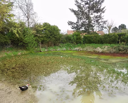 PXL028 Mare au hameau de Blancheface, Sermaise