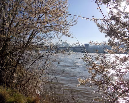 PXL002 Barrage à Bois-le-Roi, réalisé sous Napoléon III, vers 1860
