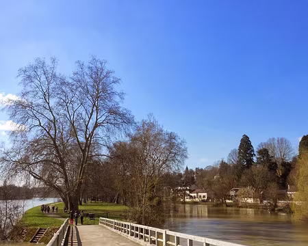 PXL008 Ile du Berceau, Samois