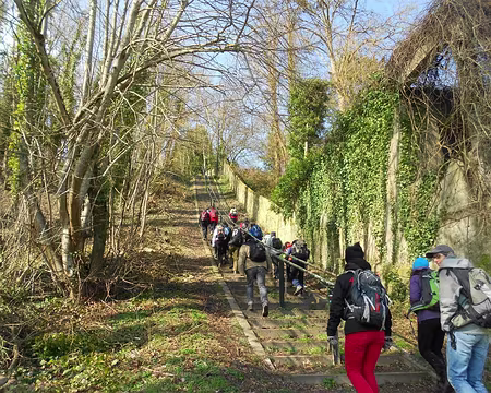 PXL011 L'escalier de Samois (100 marches)