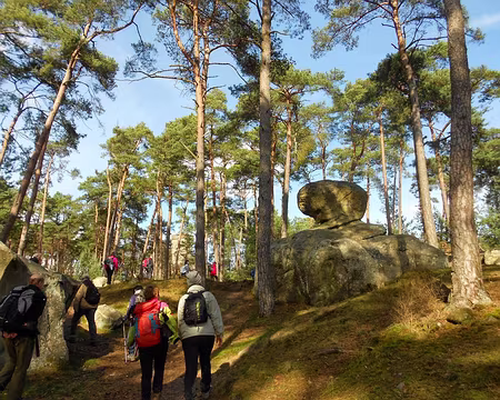 PXL013 Les Rochers de Samois...