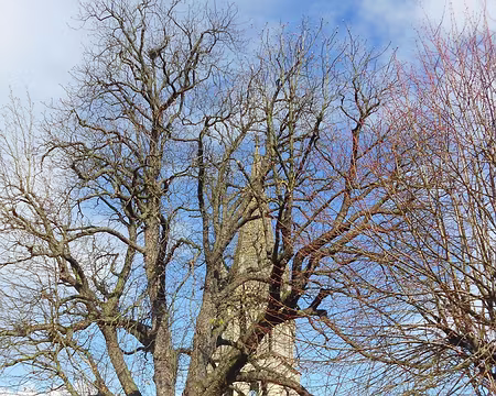 PXL012 Eglise St-Etienne, XIIè-XIIIè s., Vernouillet