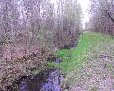 PXL013 Canal près de la route de l'Ancien Bornage